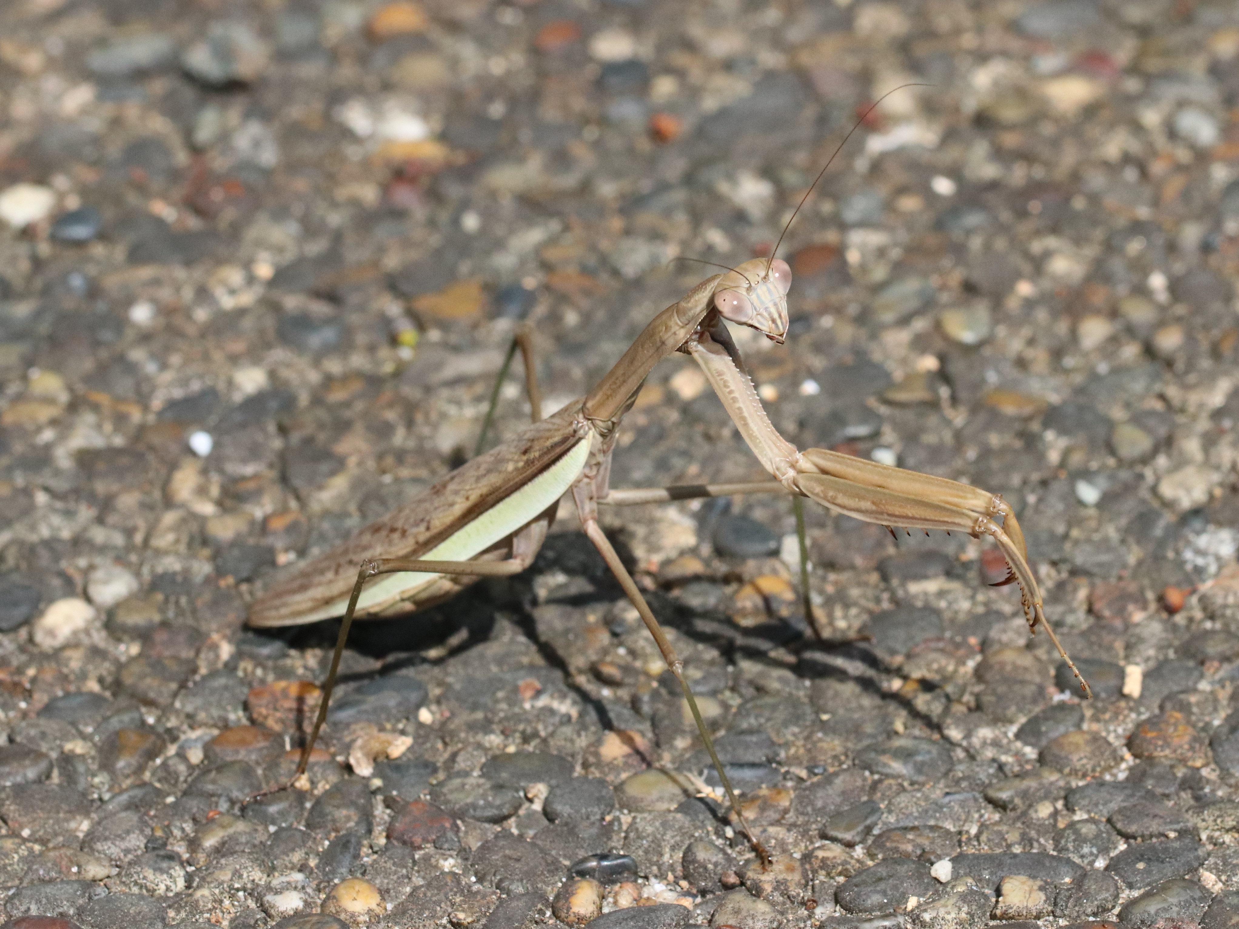 photo_4